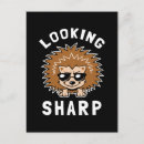 Search for hedgehogs postcards Pun