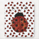 Recherche de petit insecte tapis souris Coccinelle