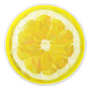 Search for lemon knobs and pulls Yellow