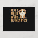Recherche de guinea pig posters Animaux