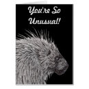 Recherche de porc épic cartes postales Épines