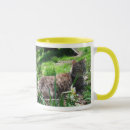Search for coon mugs Feline