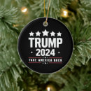 Search for america ornaments Election