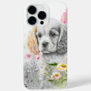 Recherche de chien cocker coques Espagne