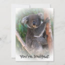 Search for bear lovers invitations Animals