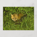 Recherche de hidding Hiding