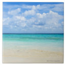 Recherche de tropical carreaux Horizontal