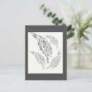 Search for black feathers postcards White