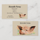 Recherche de élevage cartes visite Porc