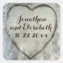 Search for tree bark stickers Woodland