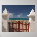 Search for turks and caicos art Coast