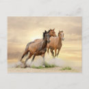 Search for horse sunset postcards Clouds