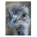 Search for brasil notebooks Bird