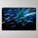 Search for underwater posters Travel