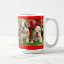 Recherche de english bulldog mugs Chien