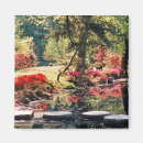 Search for paths magnets Landscapes