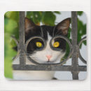 Search for picture frame mousepads Pet