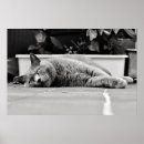 Search for boring posters Grey