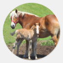 Search for horse pictures stickers Horses