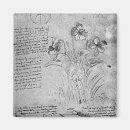 Search for violas magnets Flower