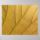 Search for bright yellow background posters Closeup