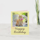 Search for vintage cats birthday cards Funny cat