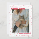 Search for white cat christmas cards Pet