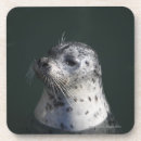 Recherche de joint dessous de verres Animaux