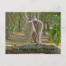 Recherche de mousses cartes postales Floride