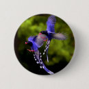 Search for bird flight buttons Birds