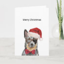 Search for australian cattle dog christmas cards Blue heeler