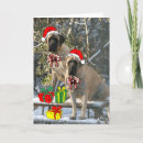Search for mastiff christmas cards Fawn