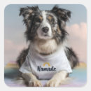 Recherche de chien colley autocollants Animal
