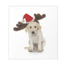 Recherche de oreilles blocsnotes Animal