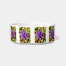 Search for clematis Pretty
