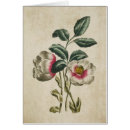 Recherche de hellebores vœux cartes Botanique