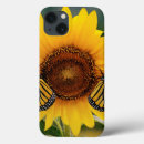 Recherche de photos de papillon coques Insectes