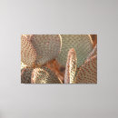 Search for beavertail Cactus