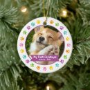 Search for puppys first christmas Pet
