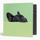 Search for french bulldog binders Puppy