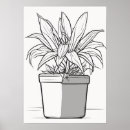 Search for thumb posters Plants