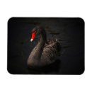Search for australian rectangular magnets Bird