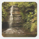 Search for lush foliage stickers Tranquil scene