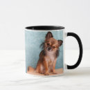Search for chihuahua pictures mugs Pet