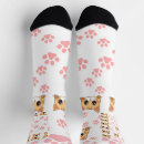 Recherche de chat chaussettes Amoureux