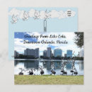 Recherche de postale la floride cartes postales Salutations de