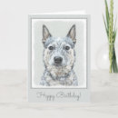 Search for australian cattle dogs cards Blue