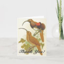 Search for perch cards Wildlife