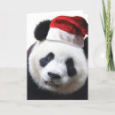 Search for panda bear christmas cards Xmas