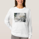 Search for ash cloud Outdoors